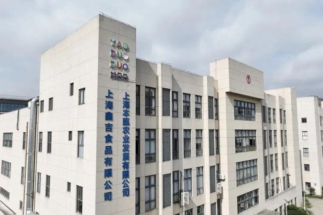 奉贤漫游指南：从海湾潮声到田园荷香，更有多重优惠