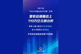 2024中国企业500强，潍坊这些企业上榜图片