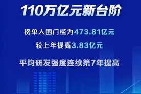 2024中国企业500强，潍坊这些企业上榜图片