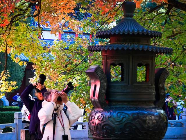 北京日报社区小板报 | 今又重阳！“福利”不重样——