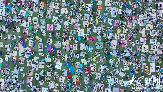 东营：文汇河海 草坪音乐节燃情夏日