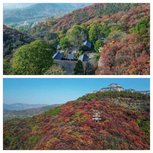 “泉”在济南享金秋——“一城山色·登山打卡”带你来赏红叶啦！