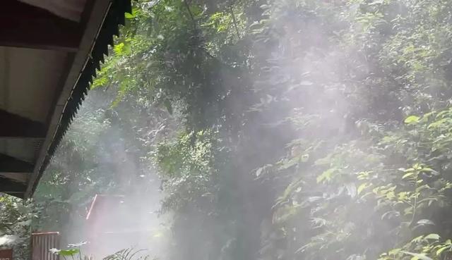 4500 斤冰块 “空降” 乐山大佛景区！还有冷风机+大风扇+冰袋……游客狂赞：贴心到心坎！