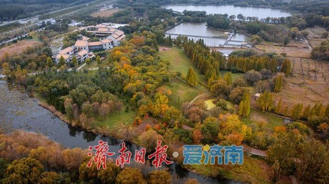 一年四季 泉在济南丨济西湿地公园，秋日绘就斑斓画卷