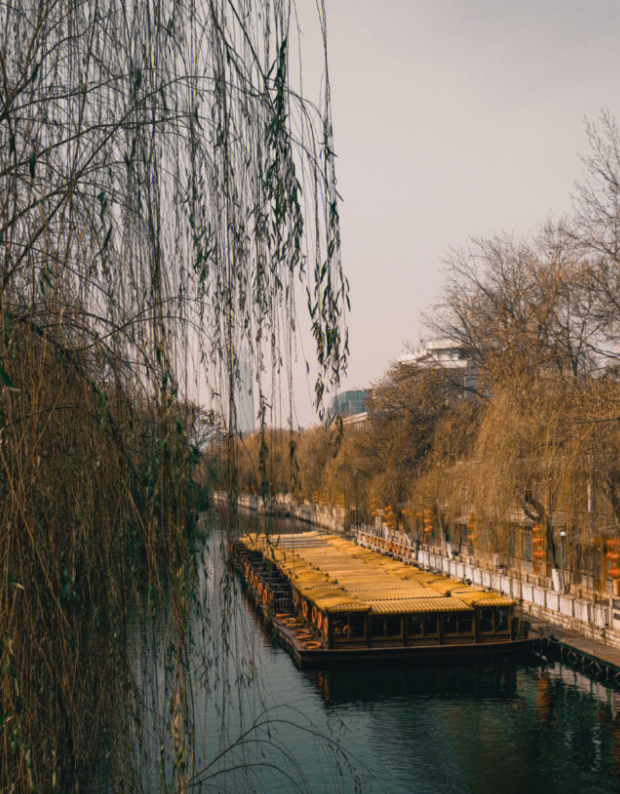 冬日的济南护城河泉水悠悠，如诗如画