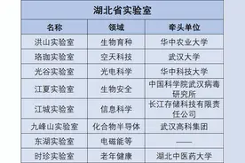大刚观两会 | 国家实验室，有哪些“武汉预备队”？图片