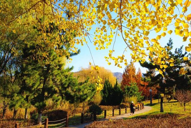 还在找威海初冬小众打卡地？这条河岸藏着惊喜