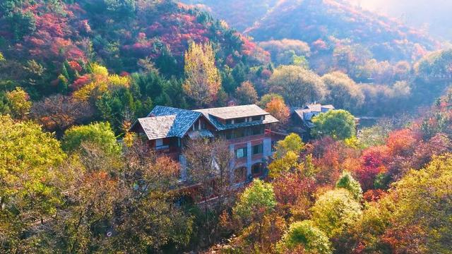 九如山推出“红叶保障计划”，让游客遇见最美风景
