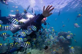 ​海南：五一假期旅游多重福利解锁海岛新玩法图片