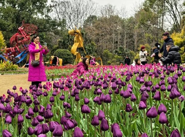 新春走基层丨桂林市区公园景区游人如织年味浓