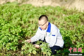 “负二代”李幸泽的逆袭之路：一颗土豆一世情图片