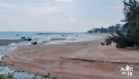 新华社携手董宇辉，走进广西的蔚蓝海岸……