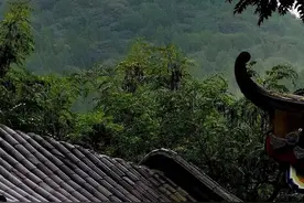 藝文视界 | 45年后回故乡，满满的回忆……图片