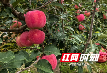 徒步麻田岭后，我看懂了文旅发展在走的路丨在路上·青椒国庆特辑⑲