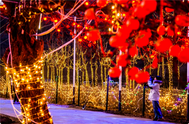 平谷井峪林下寻光 让我们赴一场生态与温情的双向奔赴