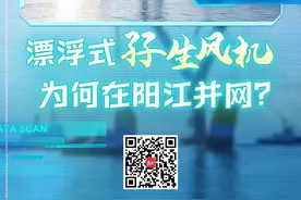 全球最大漂浮式“孖生风机”，为何在阳江并网？|寻新记图片