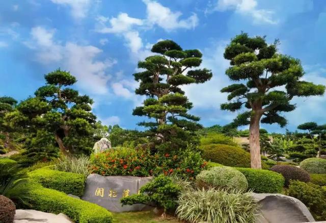 免费！优惠！明天来南宁，过重阳不“重”样！