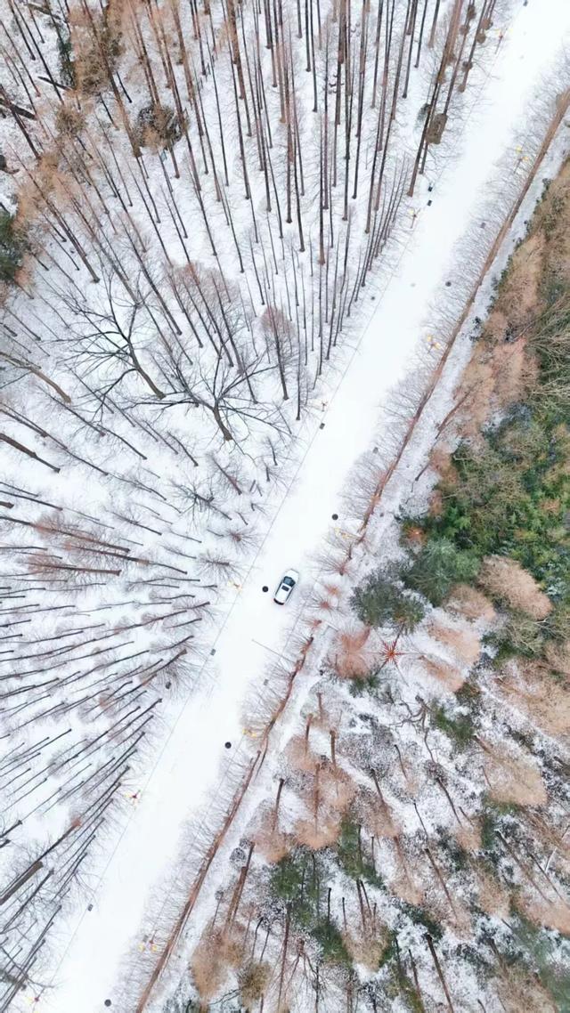 雪后的日照，美成水墨画！附最新闭园公告！