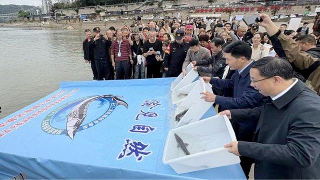 长江鲟标记放流活动在江津成功举行