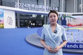 2024世界品牌莫干山大会开幕 中国品牌加速走向世界图片