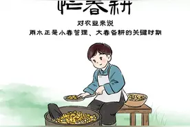 四季有时｜二十四节气——雨水图片