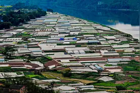 达州市河市镇昌红村：春耕播种好时节 蔬菜基地育苗忙图片