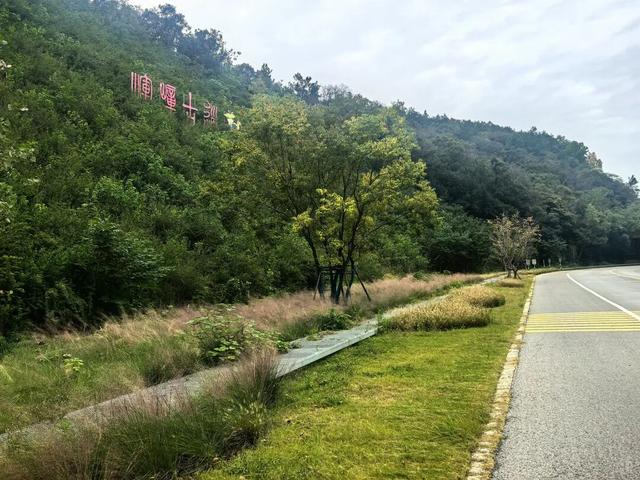 太野了！莫大意！