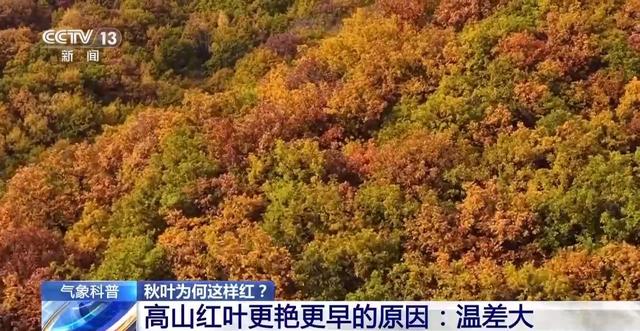 大自然换上“红装” 全国多地红叶最佳观赏期将开启