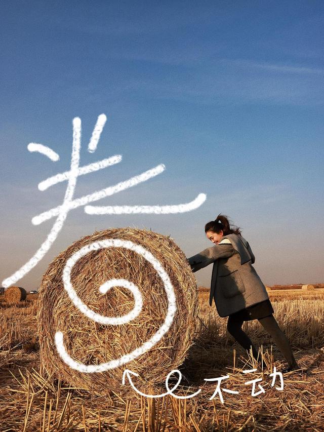 东营市区出发半小时直达，离你最近的“瑞士卷”竟然藏在稻田画！