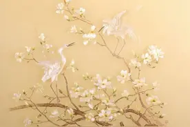 除了踏青，春天还有上百种打开方式图片