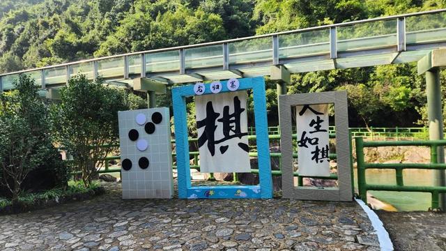高能预警！现场直击丰顺绝美花墙、花路...