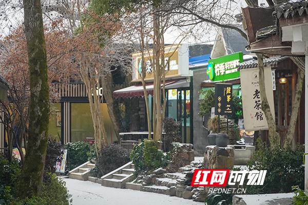 组图丨银装素裹，美成水墨画！岳麓山限定版冬景“上新”