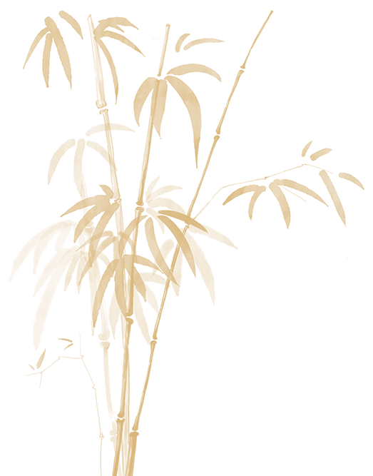 “一盏书灯，半盏国风”主题手作活动开始招募啦！