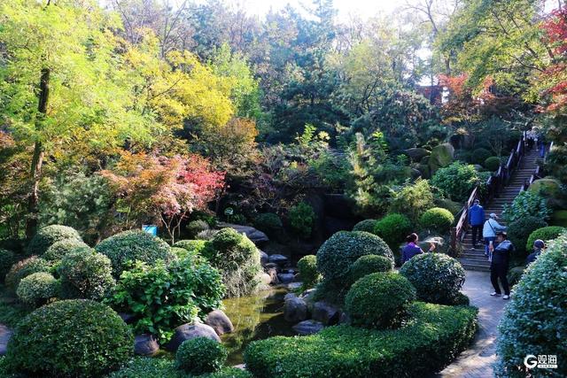 无需远行，来青岛这里尽享斑斓美景