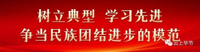 “空中能手”现身同心公园！