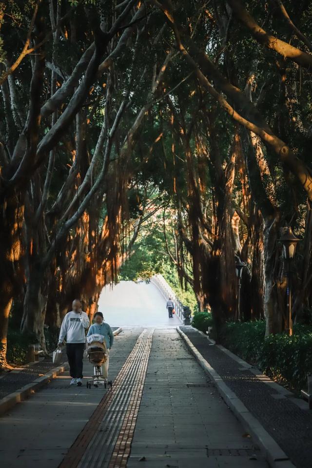 冬日暖阳里，来丰泽这儿享受惬意时光……