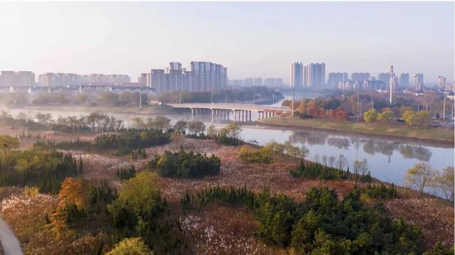 冬韵染南海 一帧一景皆画境