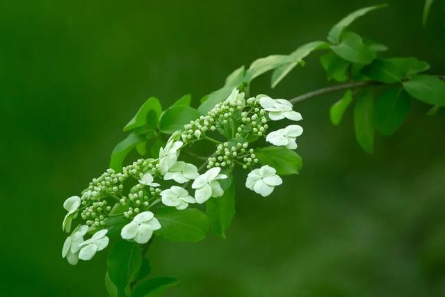 四时天工 扬州如画