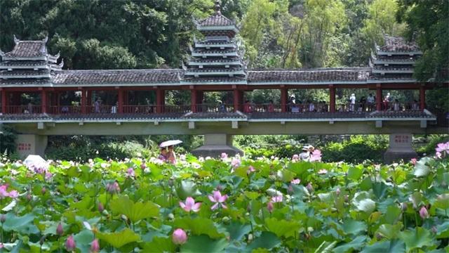 爽玩南明丨南明区：四季有花绘美景 绽放文旅新活力