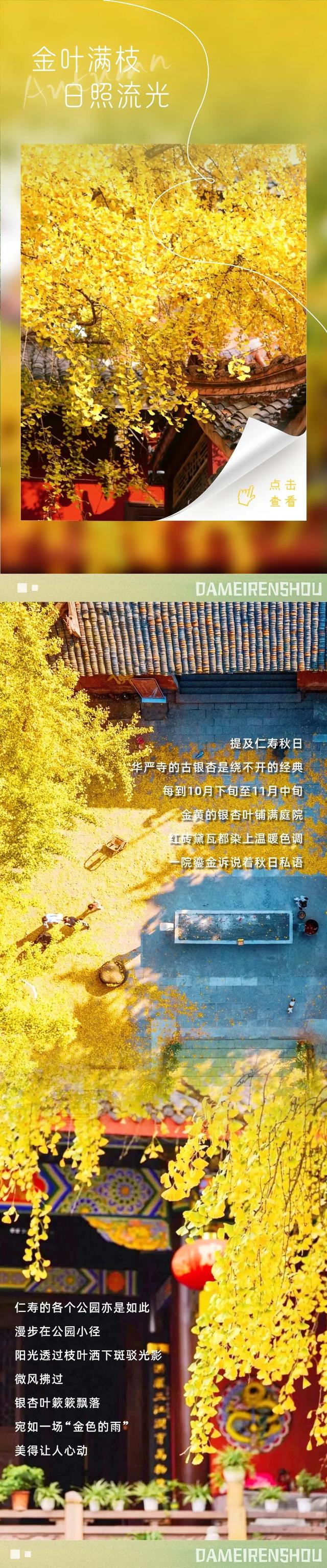 秋日预告，仁寿的绝色在这里集齐了