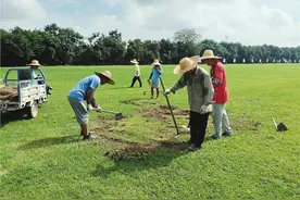 夏季怎样养护草坪图片