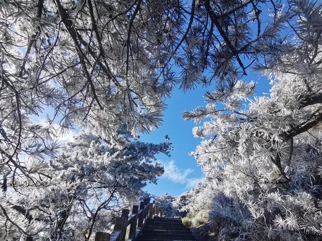 池州这里下雪了！