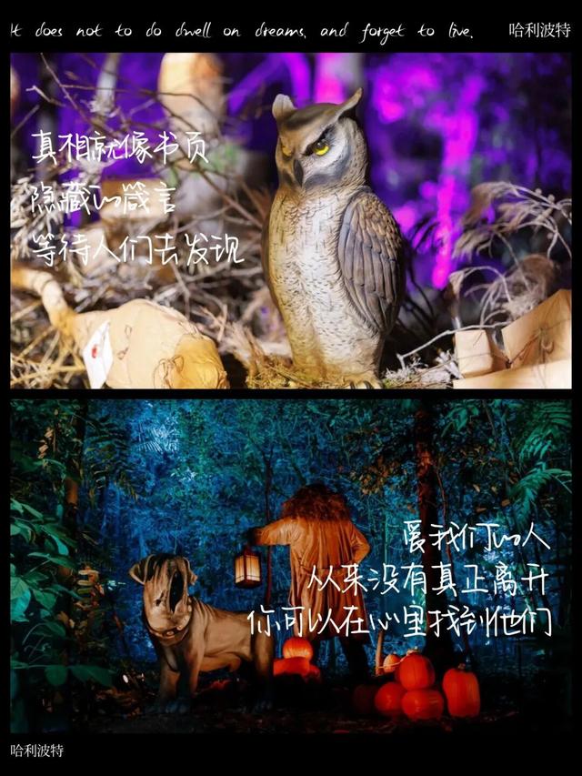 送票！每人两张