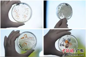 培养科学兴趣：广东学生“走进”微生物世界图片