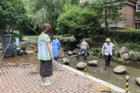 池塘整改焕新颜，鱼跃人欢享美景图片
