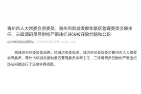 山东省纪委监委网站刚刚通报：吕耐彬被双开图片