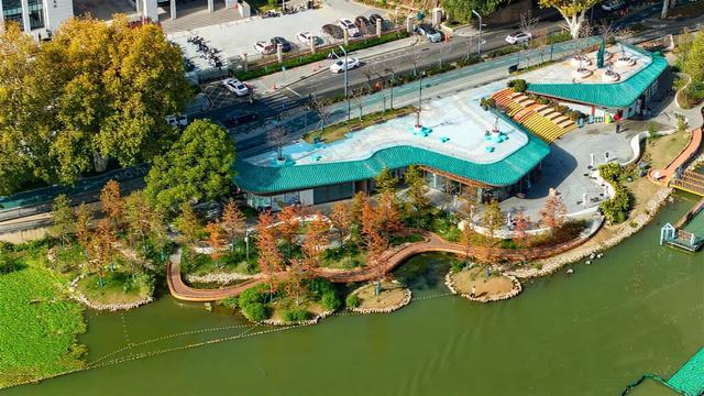 东湖南路上演初冬的浪漫：满径梧桐黄，一路保洁忙