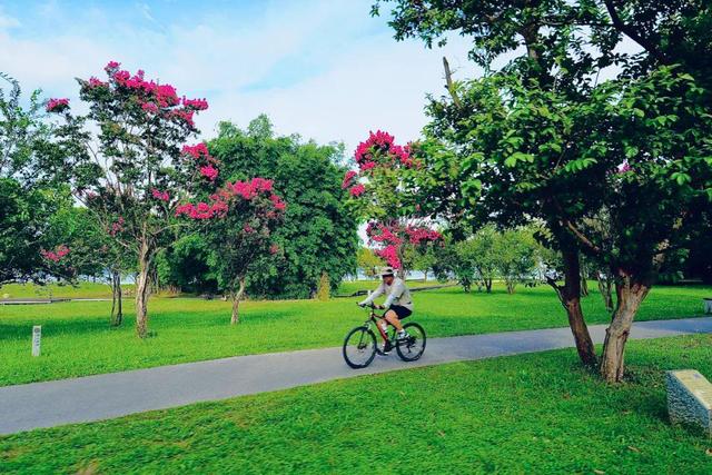 大理最治愈的129公里：这个夏天，在洱海边找到生活的解药