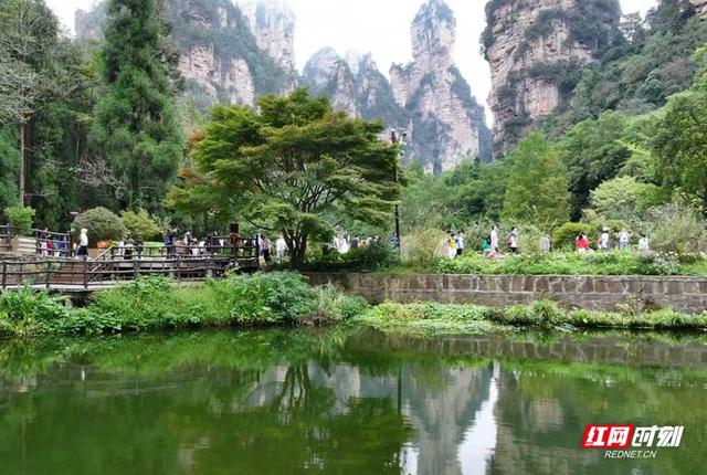 国庆游张家界|张家界国家森林公园：国庆假期乐出游