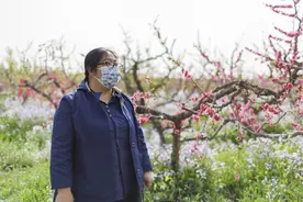 王爷墓旁边的国家级种质资源圃，“瑞”字号大桃从这里走出图片